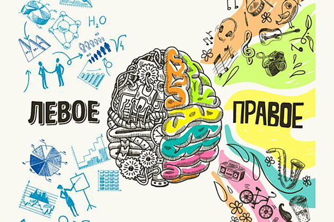 Наш мозг